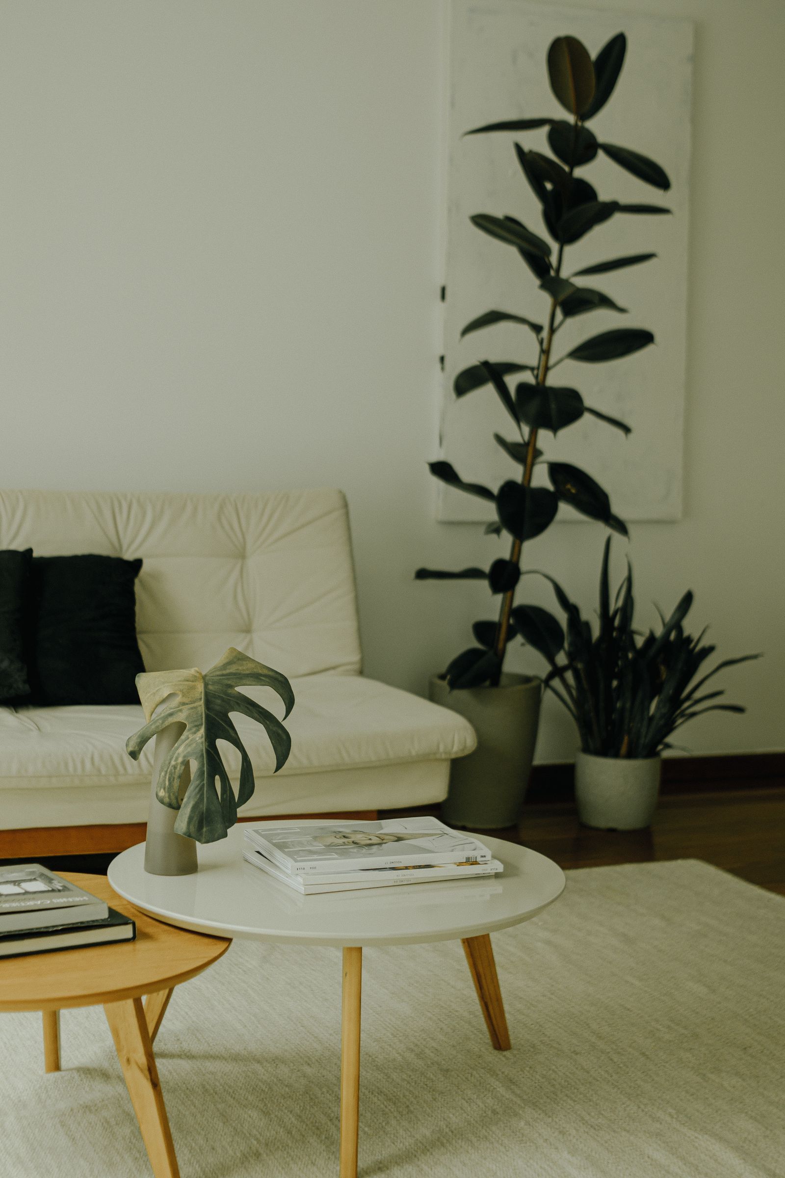 A bright, calm, uncluttered living room